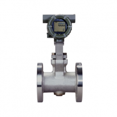 Lưu lượng kế xoáy DY100-DBMBA1-2D/FF1