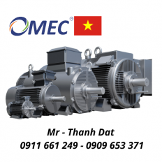 Động cơ điện OMT1-IE3 CAST IRON