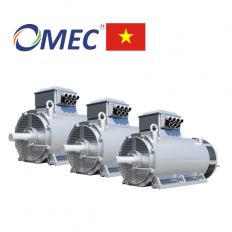 Động cơ điện OMT3-IE3 CAST IRON