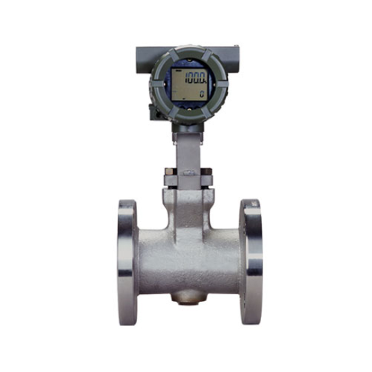 Lưu lượng kế xoáy DY015-DBMAA1-2D/FF1